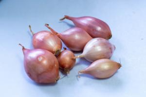 Oignon Keravel - 250 g